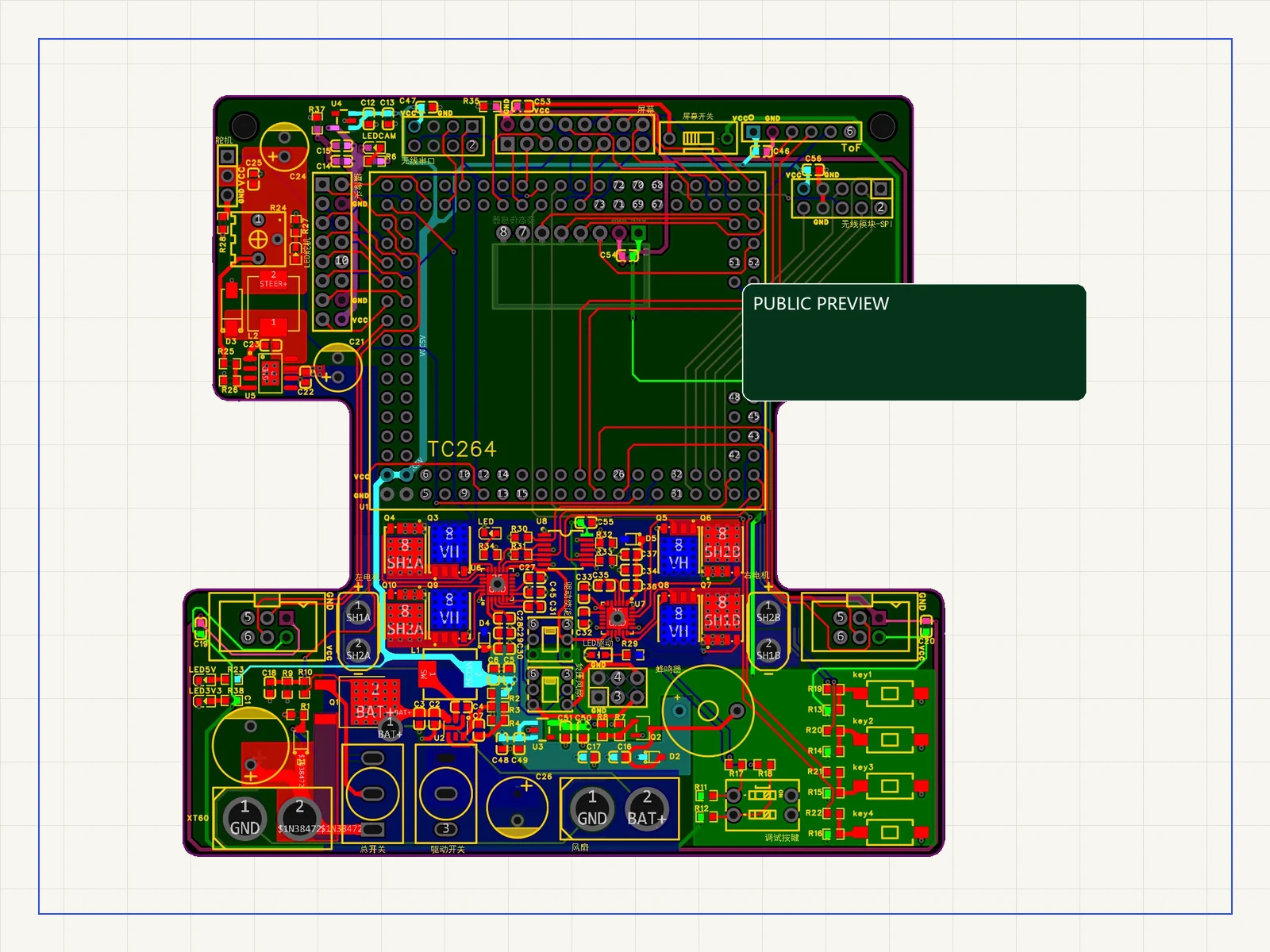 PCB 公开预览;身份信息区域已用 PUBLIC PREVIEW 遮盖。